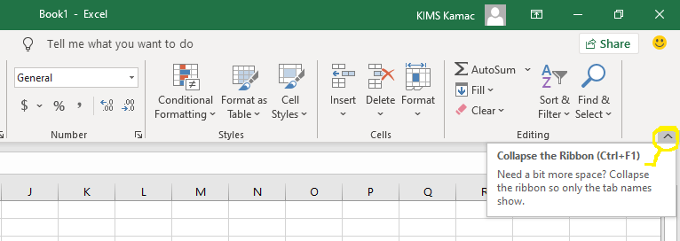 Excel collapse button