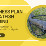 Business plan on catfish farming in nigeria
