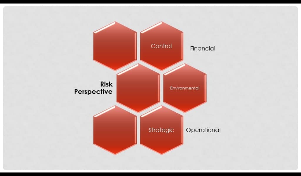 risk perspective in brm