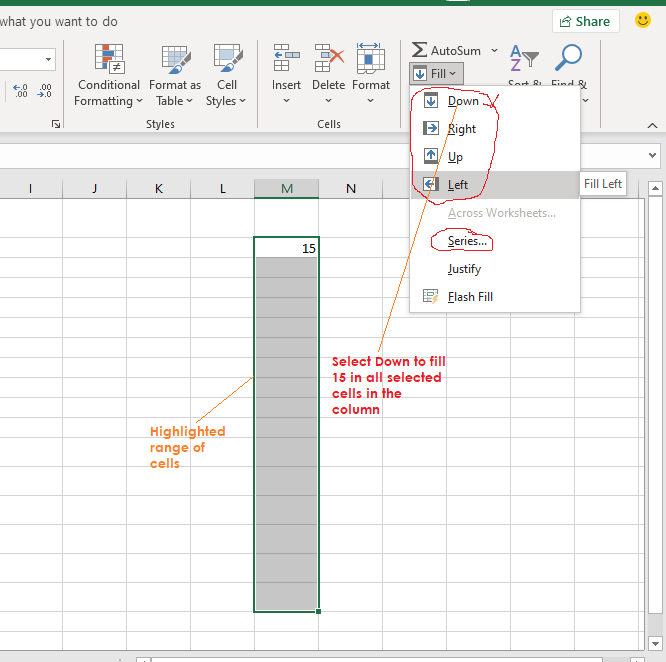 using the autofill to enter data in excel