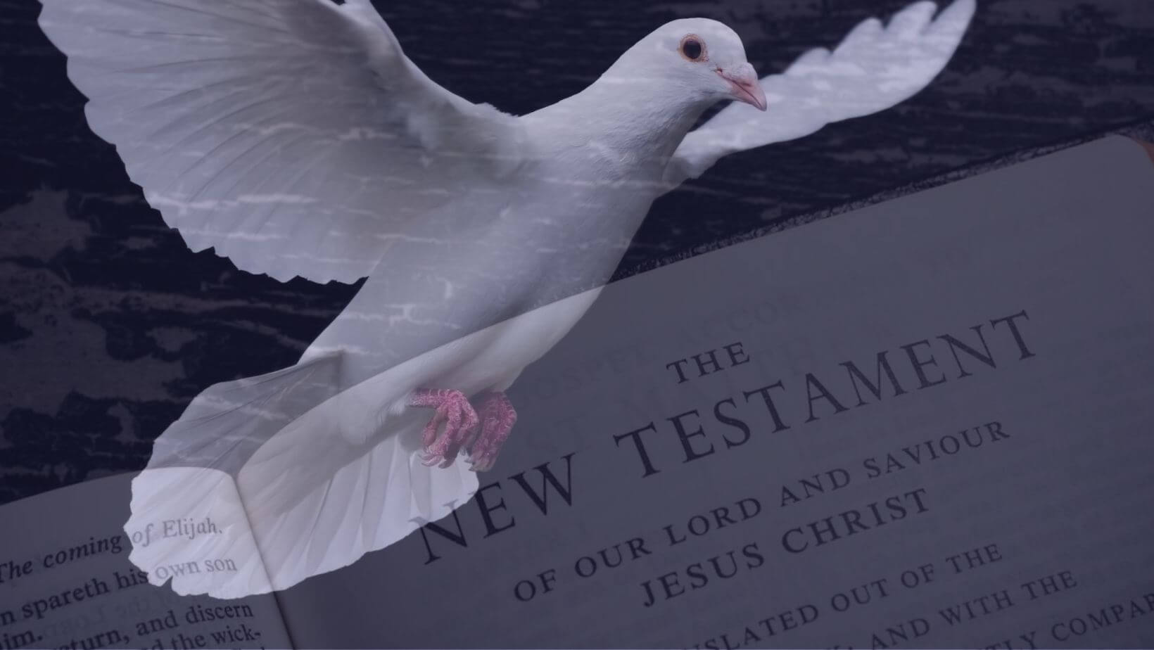 The Role Of The Holy Spirit In The New Testament