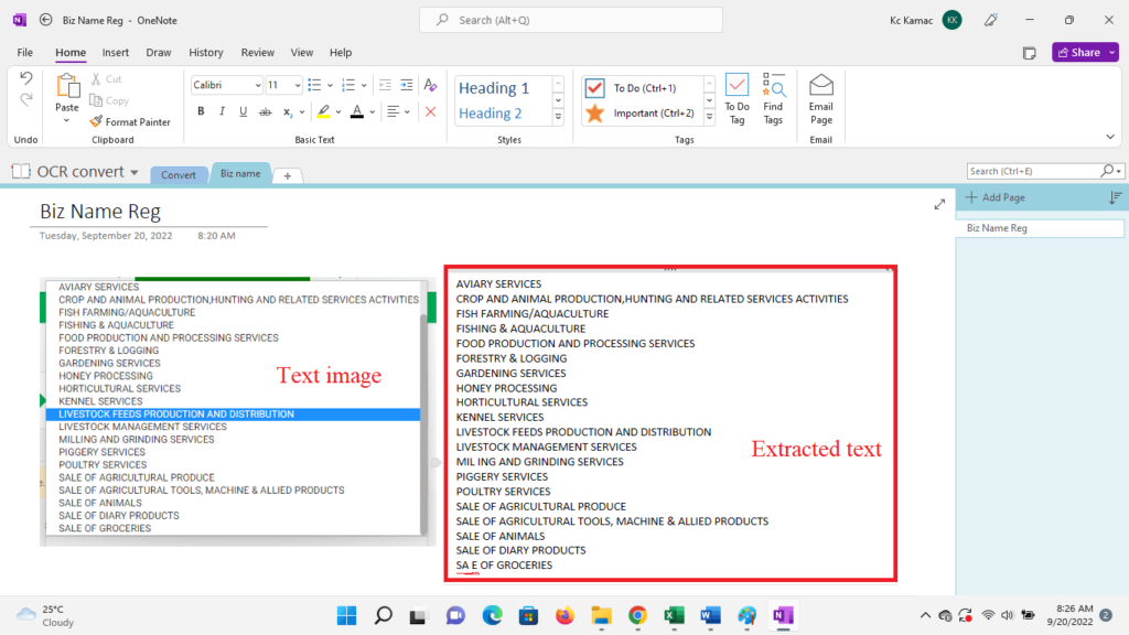 onenote image to text converter