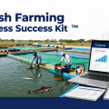 Catfish Farming Business Plan Nigeria